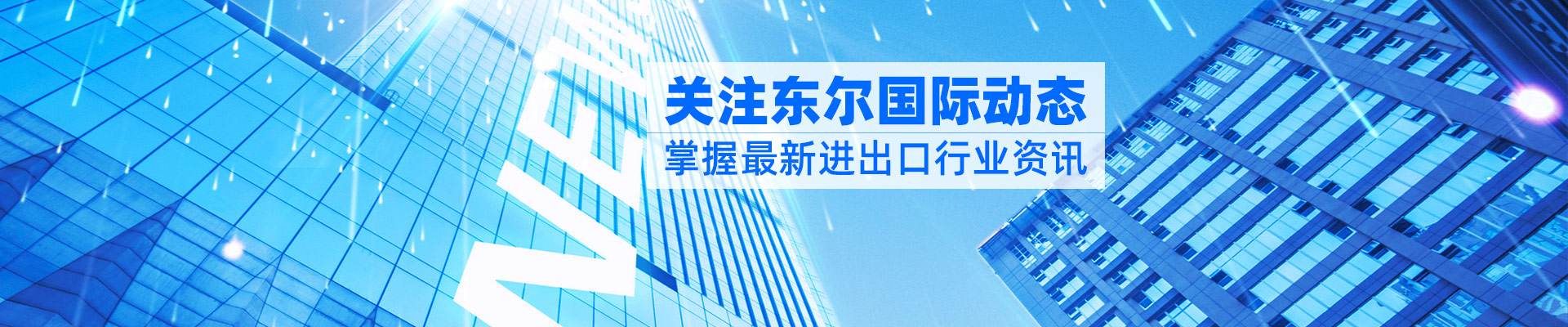 东尔国际-18年专注进出口货物操作全流程的专业团队